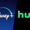 Hulu Disney Plus