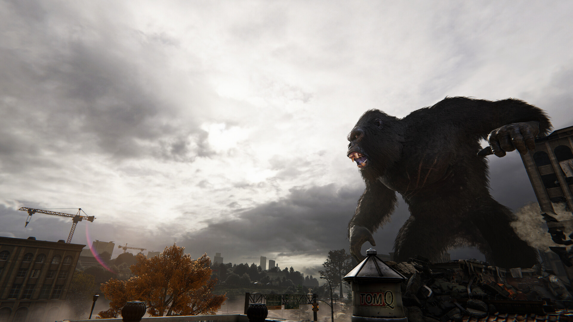 Kong-Survivor-Instinct.jpg